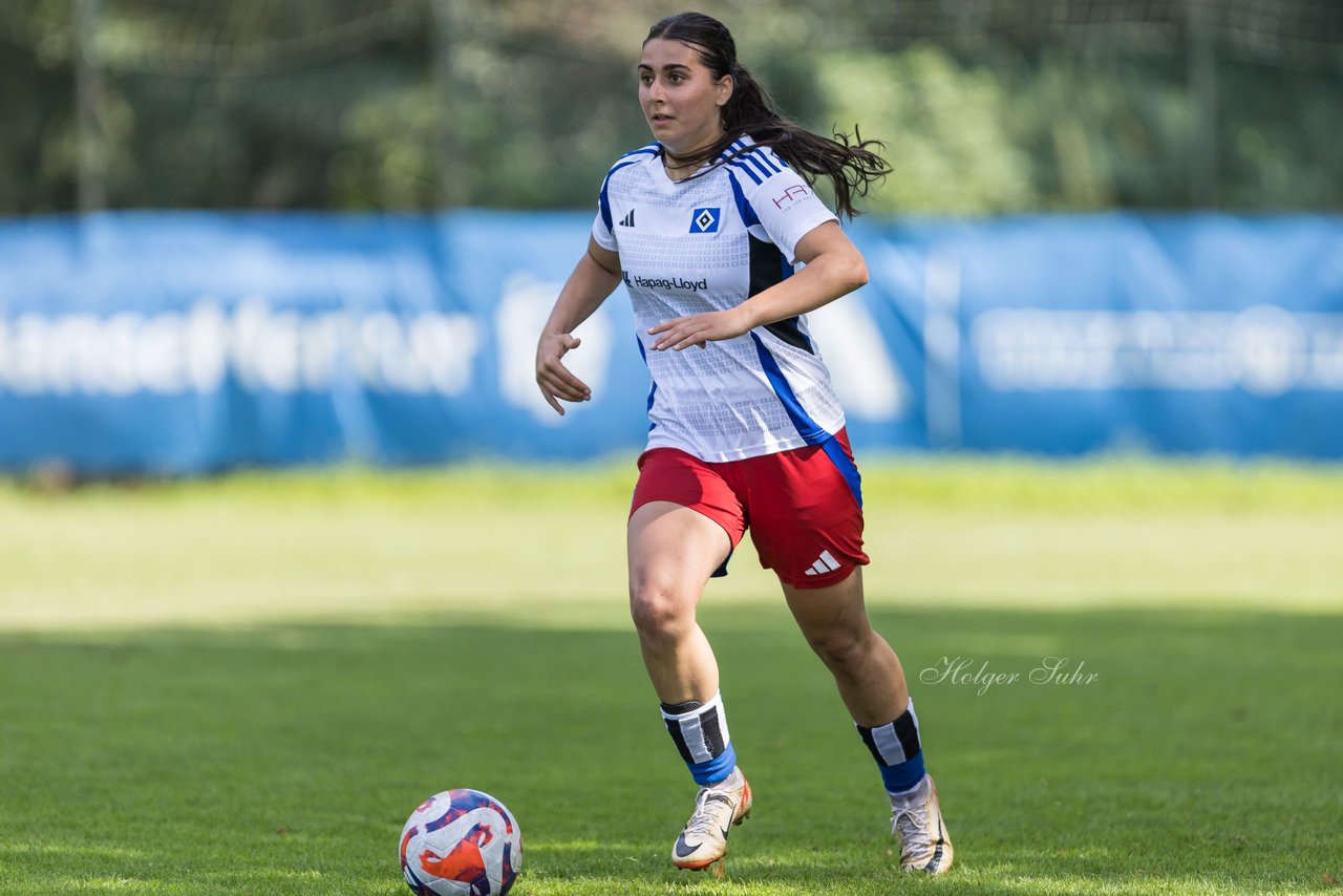 Bild 198 - wBJ Hamburger SV - VfL Wolfsburg : Ergebnis: 5:1